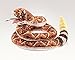 Folkmanis Rattlesnake Plush Hand Puppet