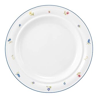 Seltmann 001.744280 Community - Plato llano (porcelana, redondo ...