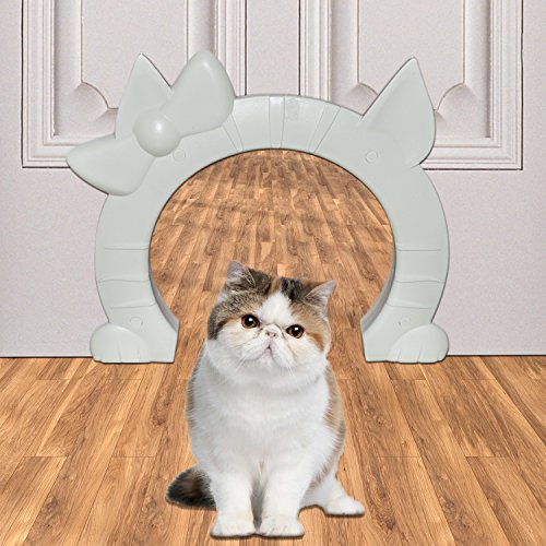 Cat Doors & Flaps What Cats Need