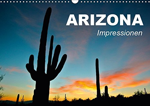 Arizona â€¢ Impressionen - EIN beeindruckender Bundesstaat der USA (Wall Calendar 2019, 14 Pages, Size DIN A3 = 11.7 x 16.5 inches) by (Calendar)