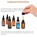 Cettkowns 8-Pack Glass Eye Pre-Assembled Droppers Included Glass Droppers, Black Bulb and Tamper Seal for 5ml (1/6 Ounce) Essential Oil Bottles