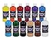 Sargent Art 24-2498 Count Artist Quality Acrylic Paint Set, 12, Assorted primary