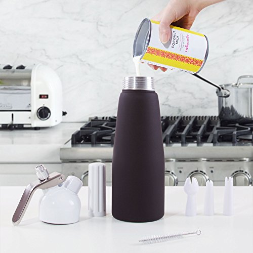 Impeccable Culinary Objects (ICO) Professional Aluminum Cream Whipper, Black