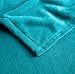 EXQ Home Fleece Blanket Teal Throw Blanket for Couch or Bed - Super Soft Microfiber Fuzzy Flannel Blanket for Adults or Pet (Lightweight,Non Shedding)