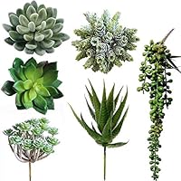 Winlyn 6 Pcs Unpotted Fake Succulents Assorted Faux Succulent in Different Green Artificial Hanging Succulents Textured Faux Succulent Pick Hanging String of Pearls Plant for Wedding Centerpieces