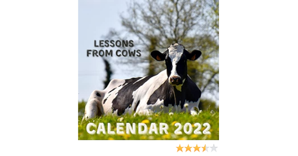 2022 Cow Calendar September Lessons From Cows Calendar 2022: September 2021 - December 2022 Monthly  Planner Mini Calendar With Inspirational Quotes: Publishing, Nature Wisdom:  9798463196996: Amazon.com: Books