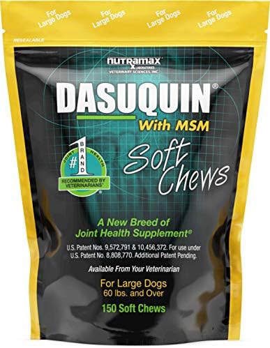 Nutramax Laboratories Dasuquin with MSM Soft Chews