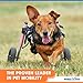 Walkin' Wheels Dog Wheelchair - for Small Dogs 11-25 Pounds - Veterinarian Approved - Dog Wheelchair for Back Legs