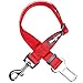Blueberry Pet Dog Leash - Puppy Essentials & Heavy Duty Dog Leashes for Large Dogs, Safety Tether for Dogs & Cats, Rouge Red, 2