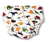 Rearz - Dinosaurs - One-Size Adult Pocket Diaper