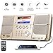 DPNAO Multi Portable Cd Player with FM Radio Clock Alarm USB SD Aux Boombox Wall Mountable for Home