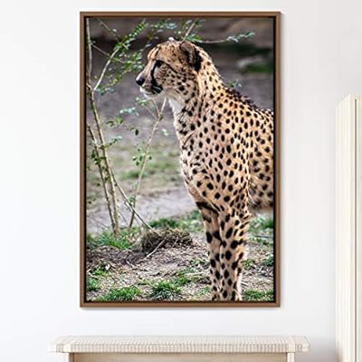 signwin Framed Canvas Wall Art Cheetah Animals Cheetah...