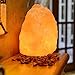 Feiuruhf Himalayan Salt Rock Lamp Hand Carved Organic Crystal Salt Night Light with Genuine Neem Wood Base, Bulb and Dimmable Switch for Home Office Hotel Steam Room (Large)
