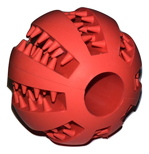 Nibble Pet Products Healthy Teeth Interactive Dog Toy Chew, Red