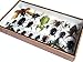 Real PHYLLIUM SICIPHOLIUM and Mix Insect Taxidermy Set in Boxes Display