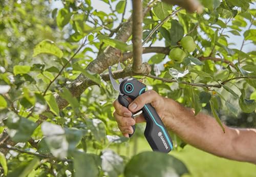 Gardena AssistCut: Cordless Pruning Shears with a Cutting Diameter of 25 mm, for Easy and Effortless Cutting of Branches, Young Shoots and Flowers, with USB-C Charging Cable (12222-20)