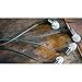 Klipsch R6 in-Ear Headphone with Patented Oval Tips 1060395 (Black)(Renewed)