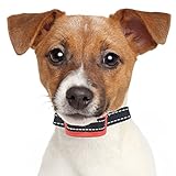 Superior Bark Collar for Small – Medium Sized Terrier / Bulldog Type Dogs– Rechargeable Bark Collar - 5lb to 75lb - No More Expensive Batteries - Red - Easy to Set Up & Use