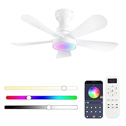NKPU 36inch Ceiling Fans with Lights and Remote/App