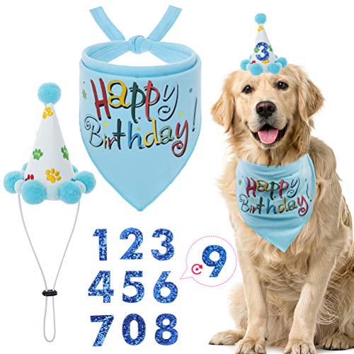 cute dog accessories