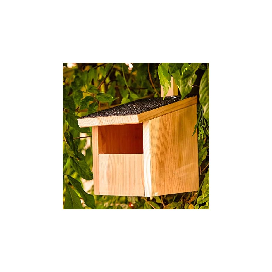 Skojig© Nistkasten für Nischenbrüter aus Naturholz : wetterbeständige ...