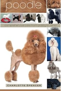 poodle clipping and grooming