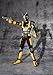 TAMASHII NATIONS Bandai S.H. Figuarts Robo Rider Kamen Rider Black RX Action Figure