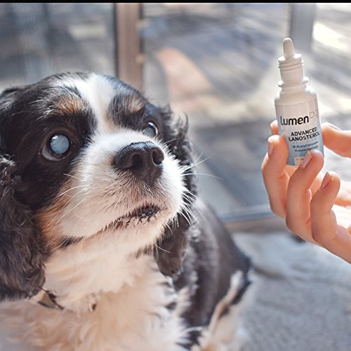 LumenPro Pet Eye Drops Promotes Vision Clarity in Animals with