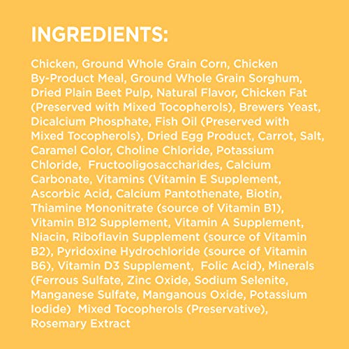 IAMS PROACTIVE HEALTH DRY PUPPY FOOD, PREMIUM DOG FOOD DRY RECIPE, 7 LB. BAG