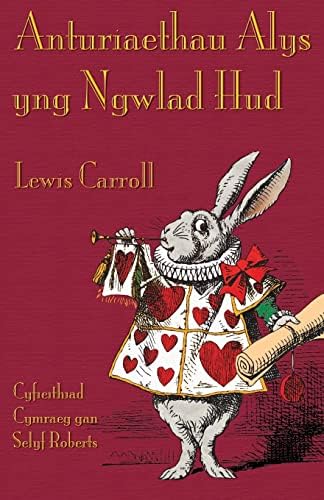 Harry Potter and the Philosopher's Stone Welsh: Harri Potter a