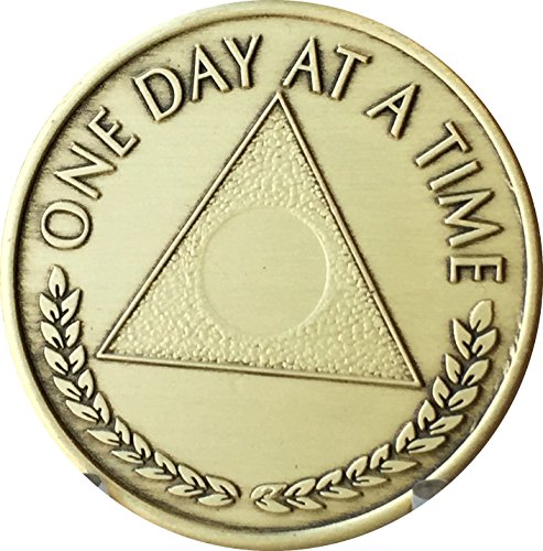 Wendells Bulk Lot of 25 Al-Anon Medallions One Day At A Time Bronze Group Refill Medallion Chips