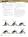 STOTT PILATES Manual - Complete Spine Corrector