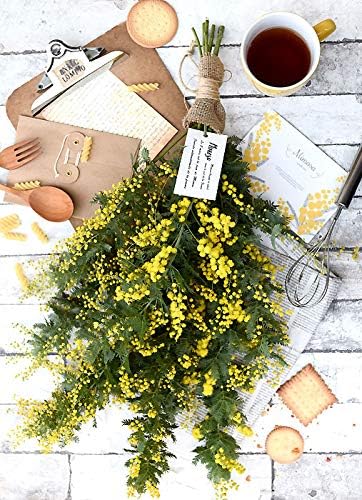 Amazon ミモザ スワッグ ドライフラワー 期間限定 ドライフラワー オンライン通販