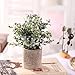 HC STAR Artificial Plant Potted Mini Fake Plant Decorative Lifelike Flower Green Plants