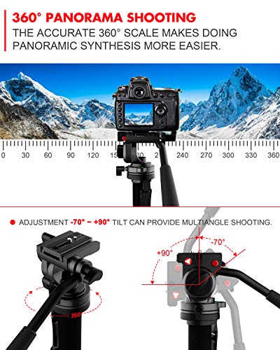 KINGJOY Professional Video Monopod Kit 69" Carbon Fiber Telescopic Camera Monopods with Pan Tilt Fluid Head and 3-Leg Tripod Base for DSLR Cameras Camcorders, MP3208+KH-6750