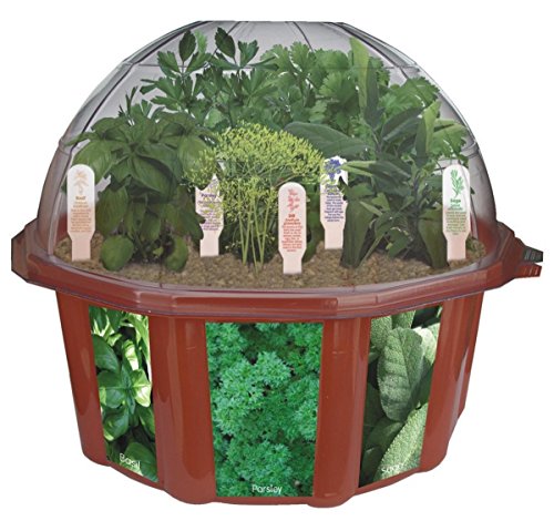 Dunecraft Culinary Herb Garden