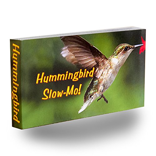 Fliptomania Hummingbird Flipbook