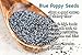 SUNBEST Whole Blue Poppy Seeds ( England ), in Resealable Bag (3 Lb)