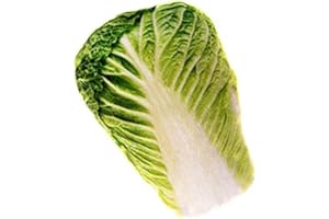 Silvervine Jumbo Chinese Cabbage Cuddle Toy