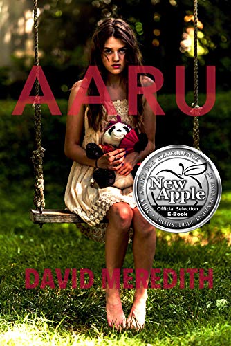 Aaru (The Aaru Cycle Book 1) by [Meredith, David]