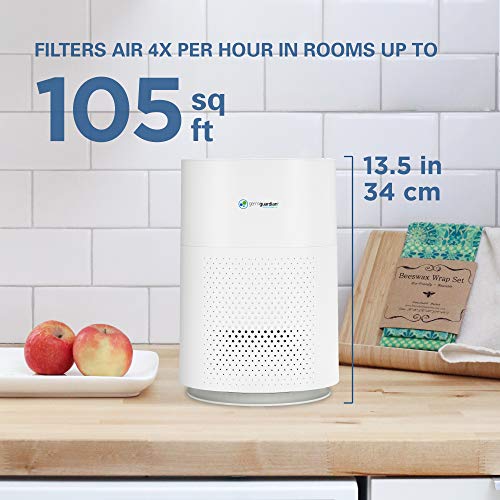 Germ Guardian True HEPA Filter Air Purifier for Home, Office, Bedrooms