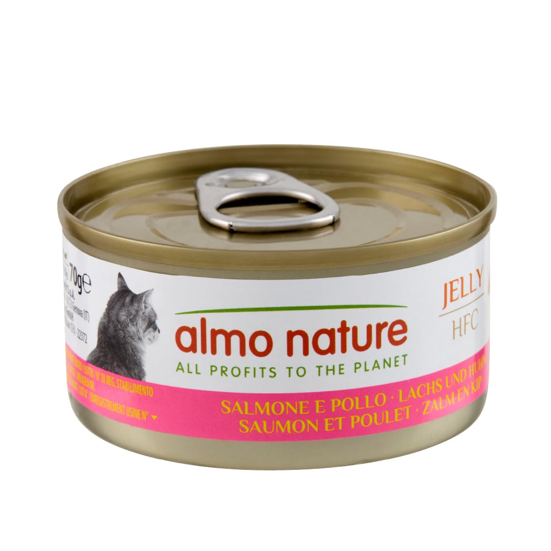 Almo Nature HFC Jelly - Wet Cat Food for Adult Cats - Salmon and Chicken - Human Grade, Gluten Free - 70g, Pack of 24