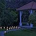 LED Concepts SLR-RSPI Solar Powered Garden Outdoor Decorative Landscape Lights Year, Pink Rose