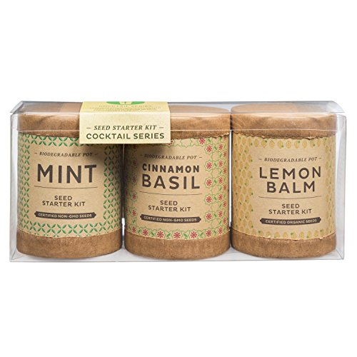 Indoor Herb Garden Starter Kit - Cocktail Inspired - Mint and Basil