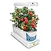 AeroGarden Sprout with Gourmet Herb Seed Pod Kit, White
