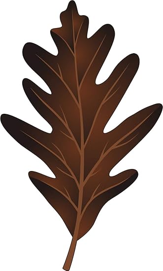 Amazon Com Pretty Oak Leaf Cartoon Art Emoji Vinyl Sticker Brown Bur Oak Automotive
