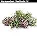 Cellulite Dissolving, Fluid Reducing Aromatherapy Dead Sea Bath Salts - 