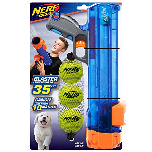 The Best Ball Launchers For Dogs Dogtime