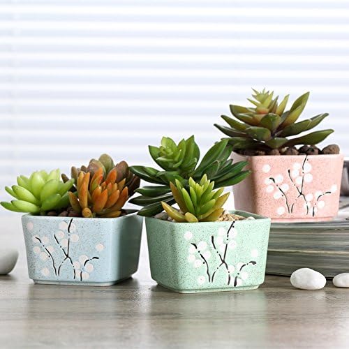 Netral 3.5 Inch Ceramic Sucuulent Plant Pot/Cactus Plant Pot Flower Pot Ceramics Flower Pot for Home Office Desk Garden Decoration,Set of 3 (3, Square)