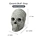 Hollow Ceramic Skull for Indoor and Outdoor Fire Pits and Fireplaces | Single Fireproof Ceramic Skull | 6 Inches, Gray Color
